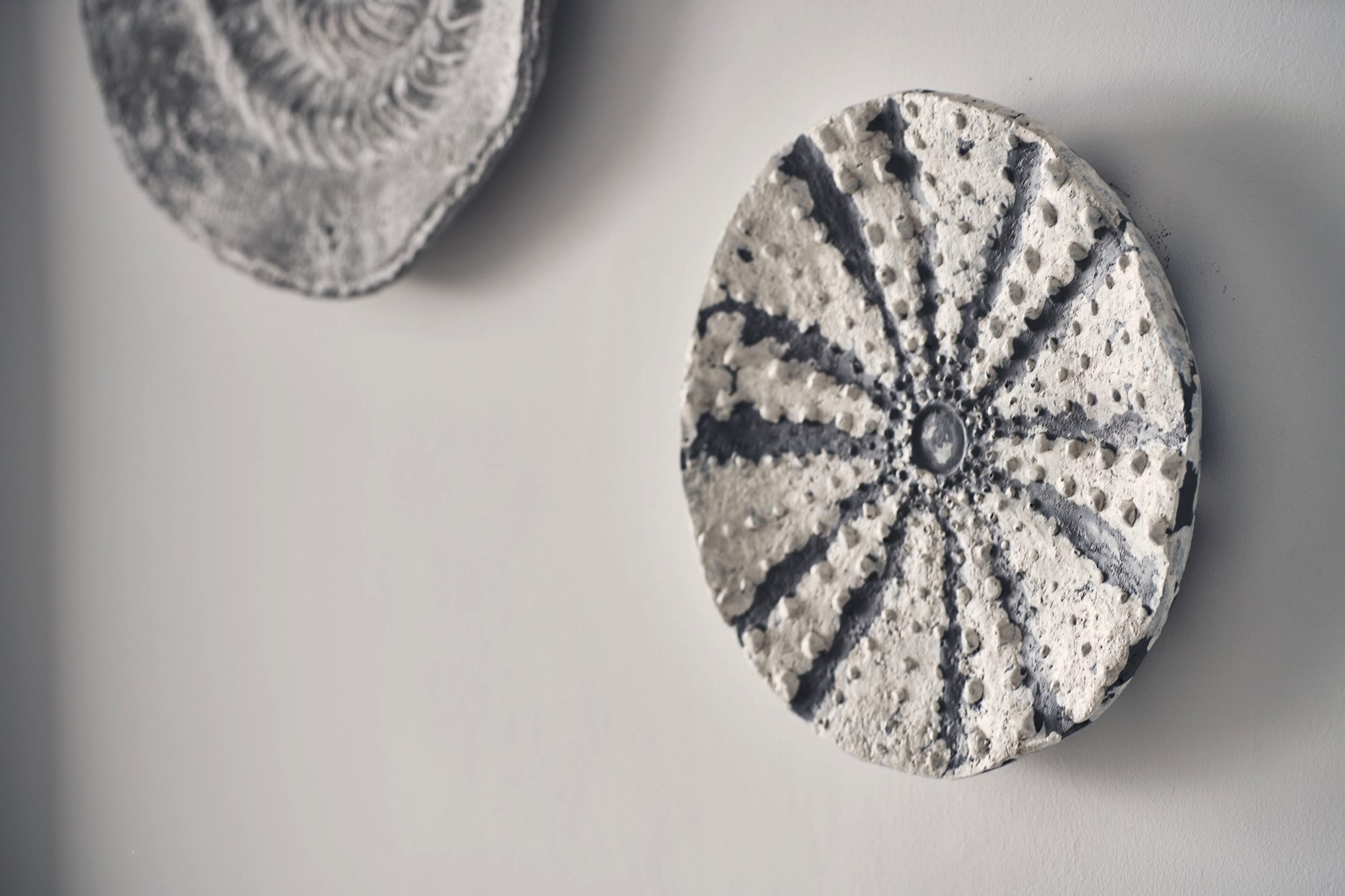 alissaris caves junior 16