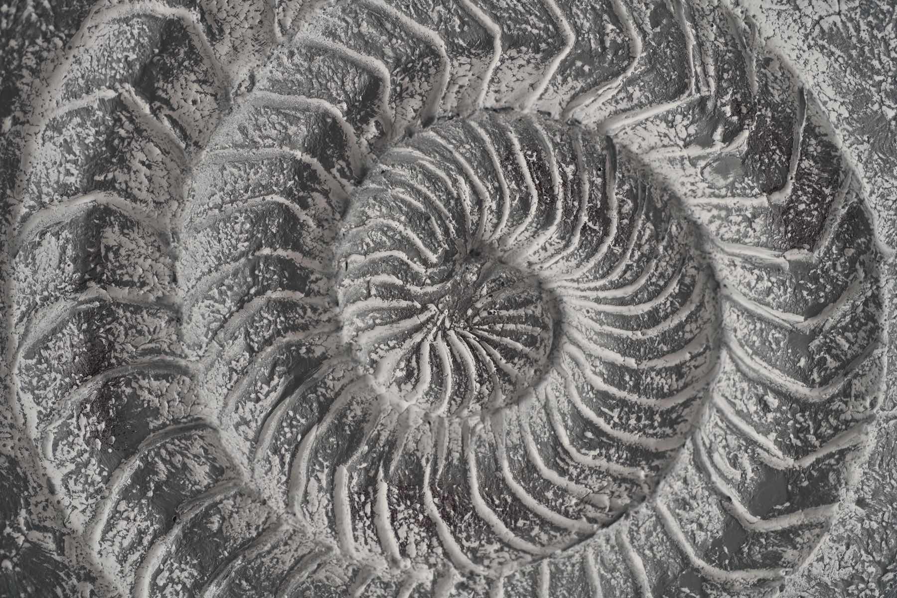 alissaris caves junior 2